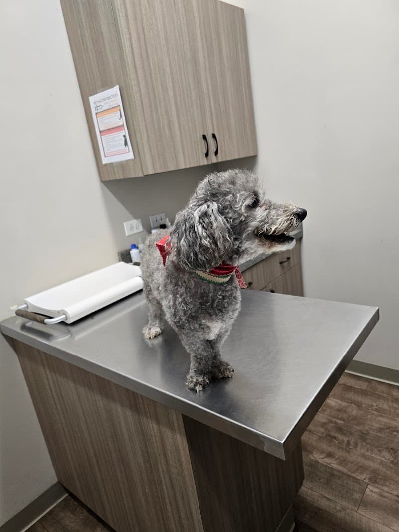 Elgin Animal Clinic photo 2
