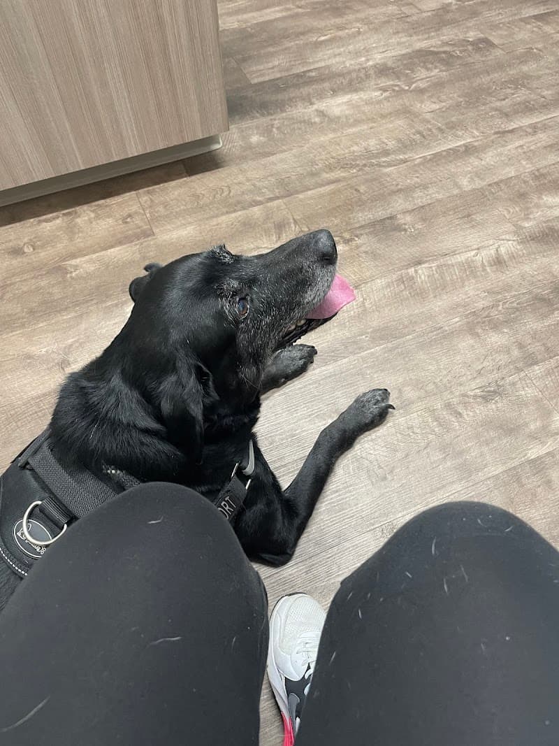 Elgin Animal Clinic photo 3
