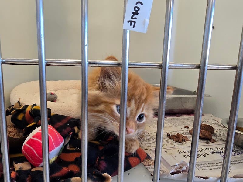 Milwaukee Area Domestic Animal Control Commission-MADACC photo 3