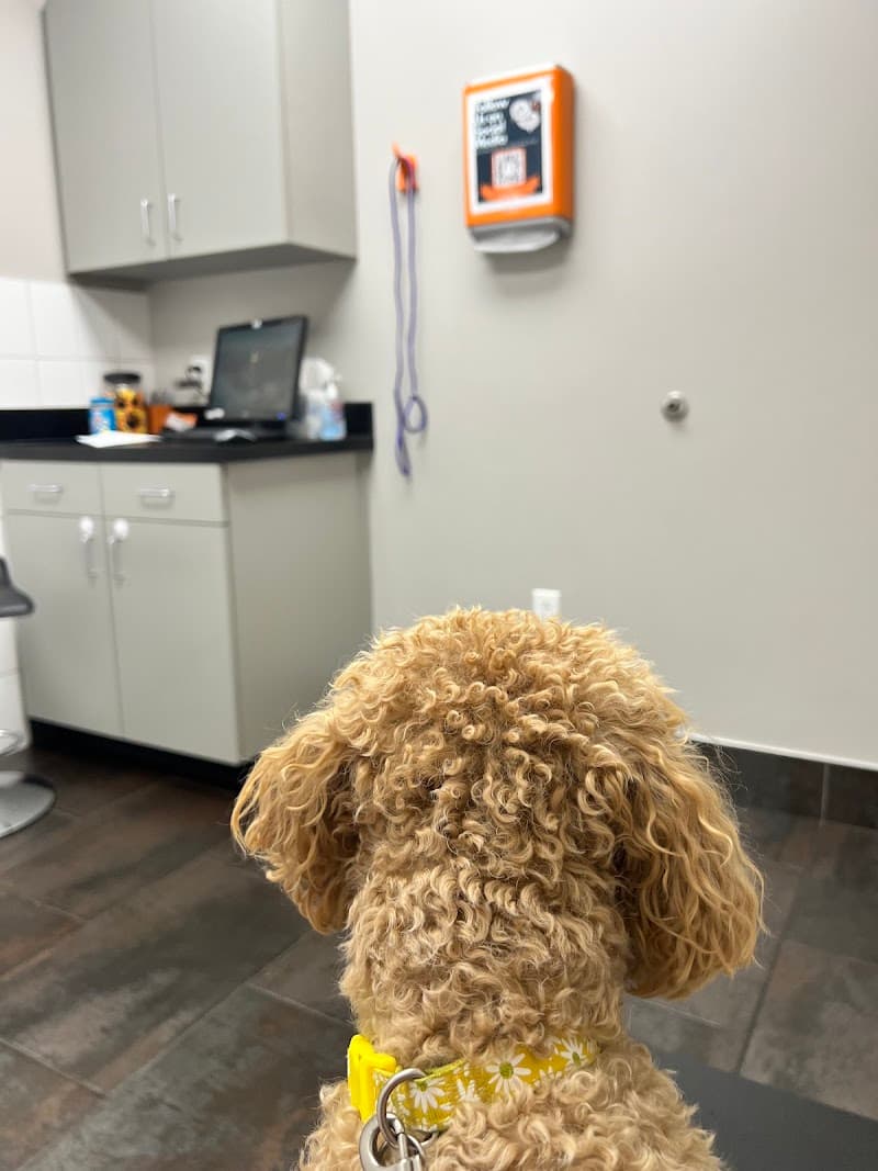 City Way Animal Clinics - Mass Ave photo 2