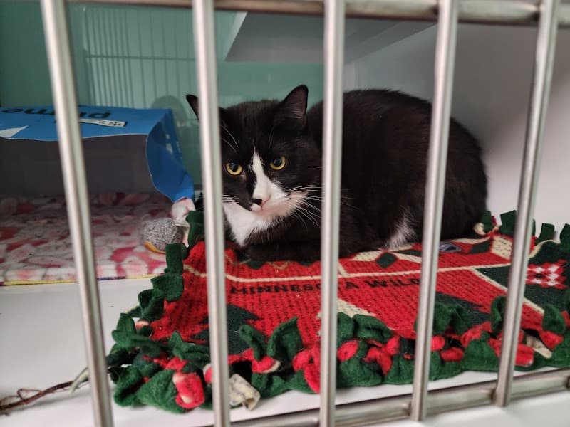Pet Project Rescue