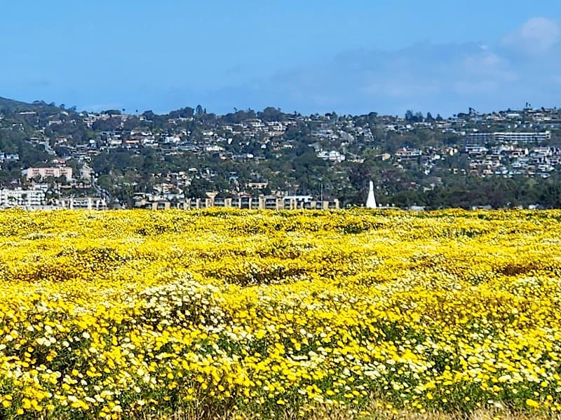 Fiesta Island photo 2