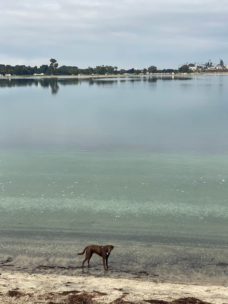 Fiesta Island photo 3
