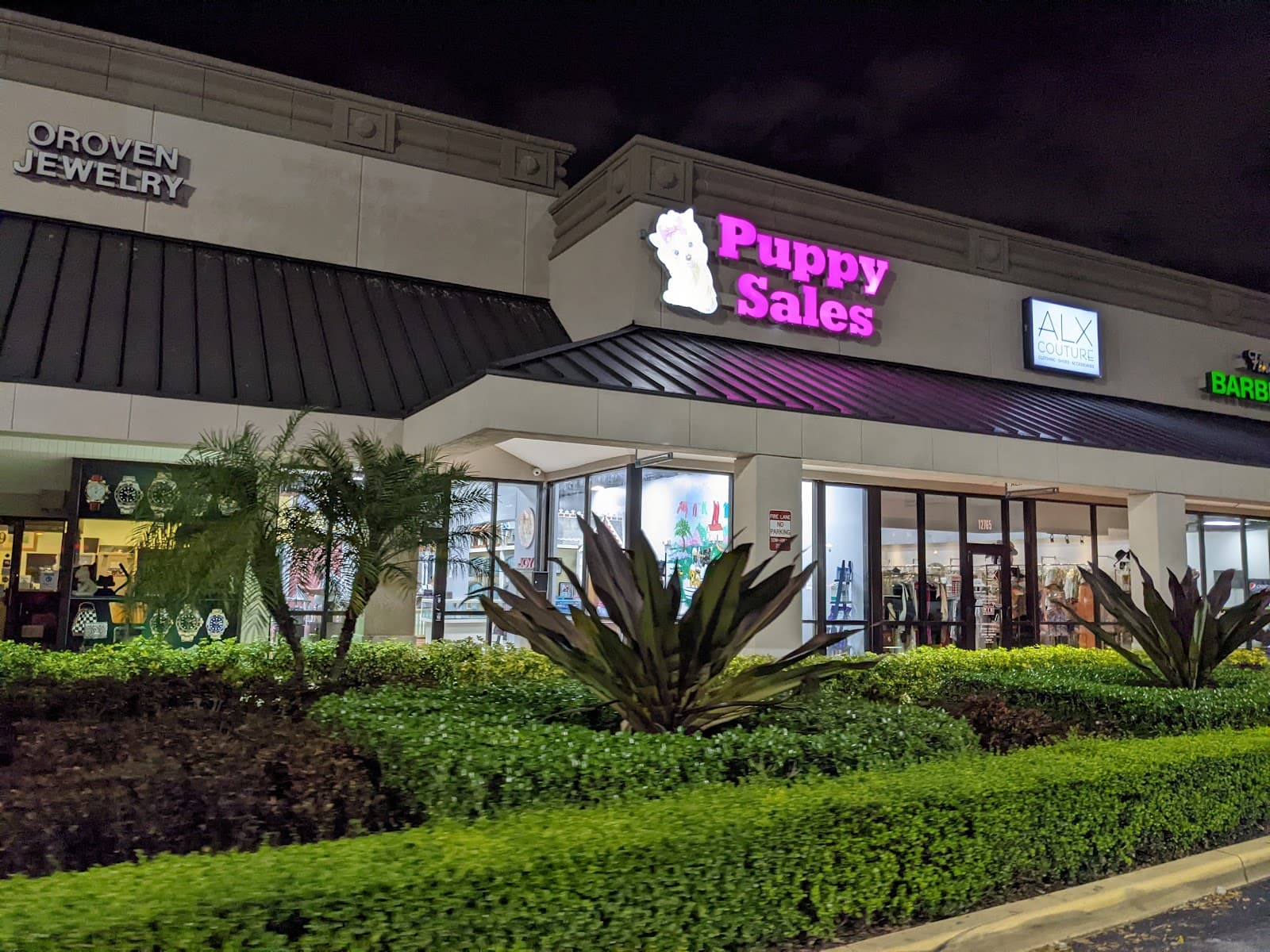 Forever Love Puppies Miami