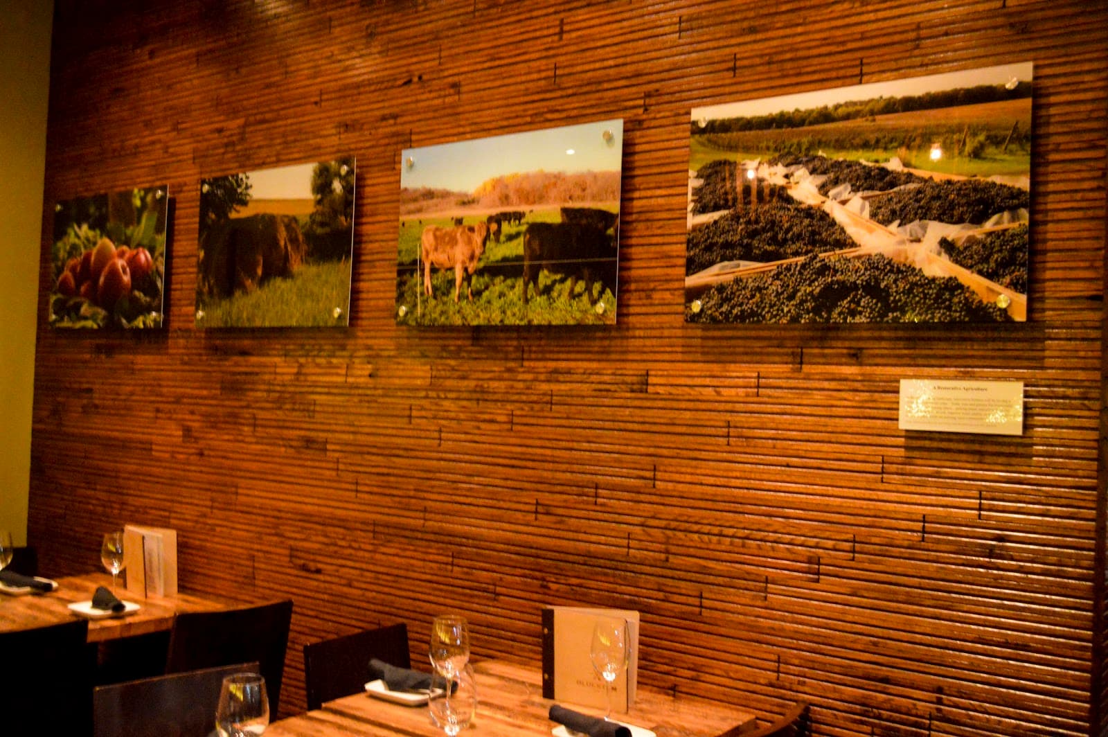 French Meadow Cafe & Bluestem Bar