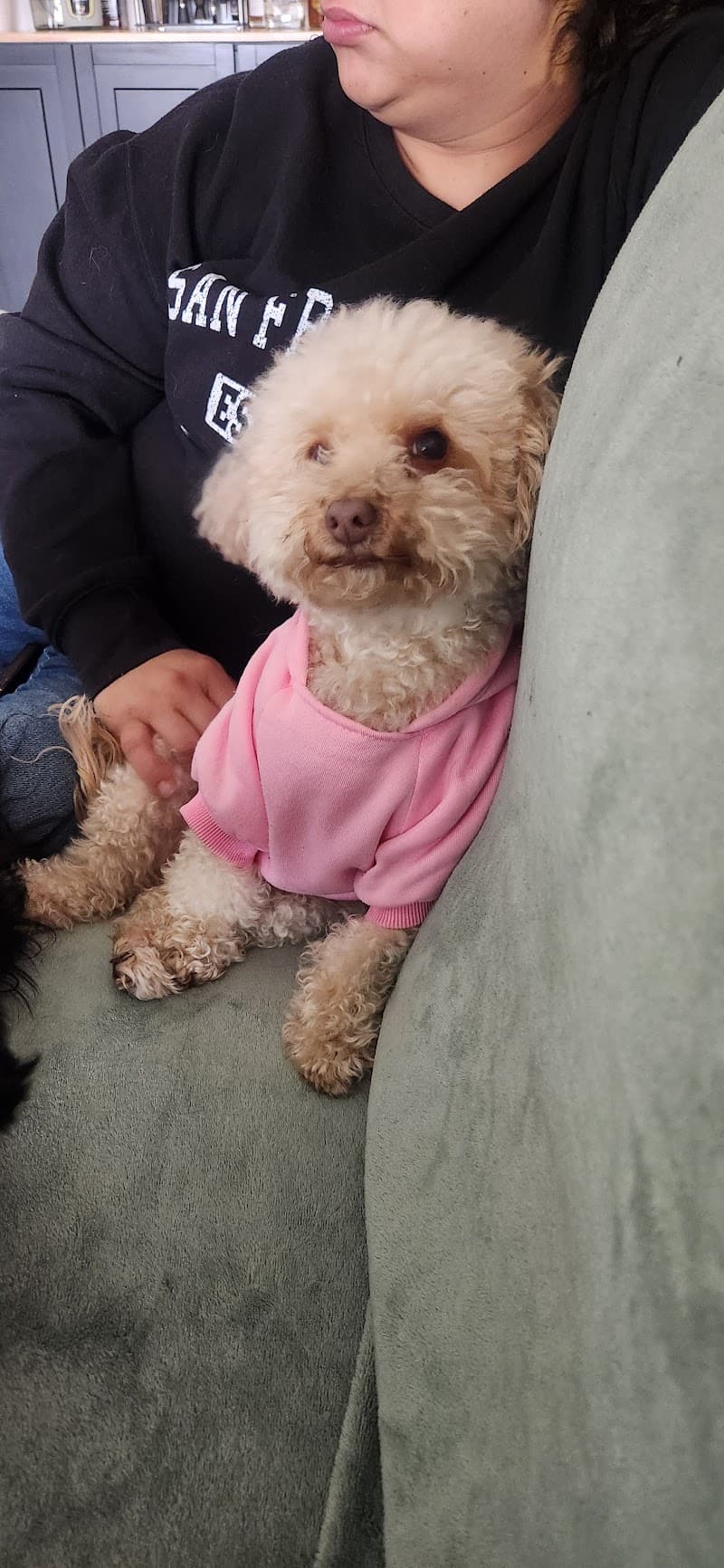 Fur Baby Nannies
