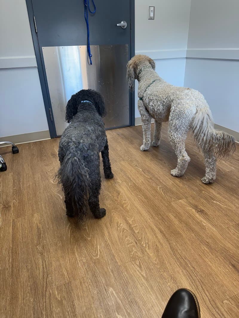 Goldsmith Veterinary Clinic photo 3