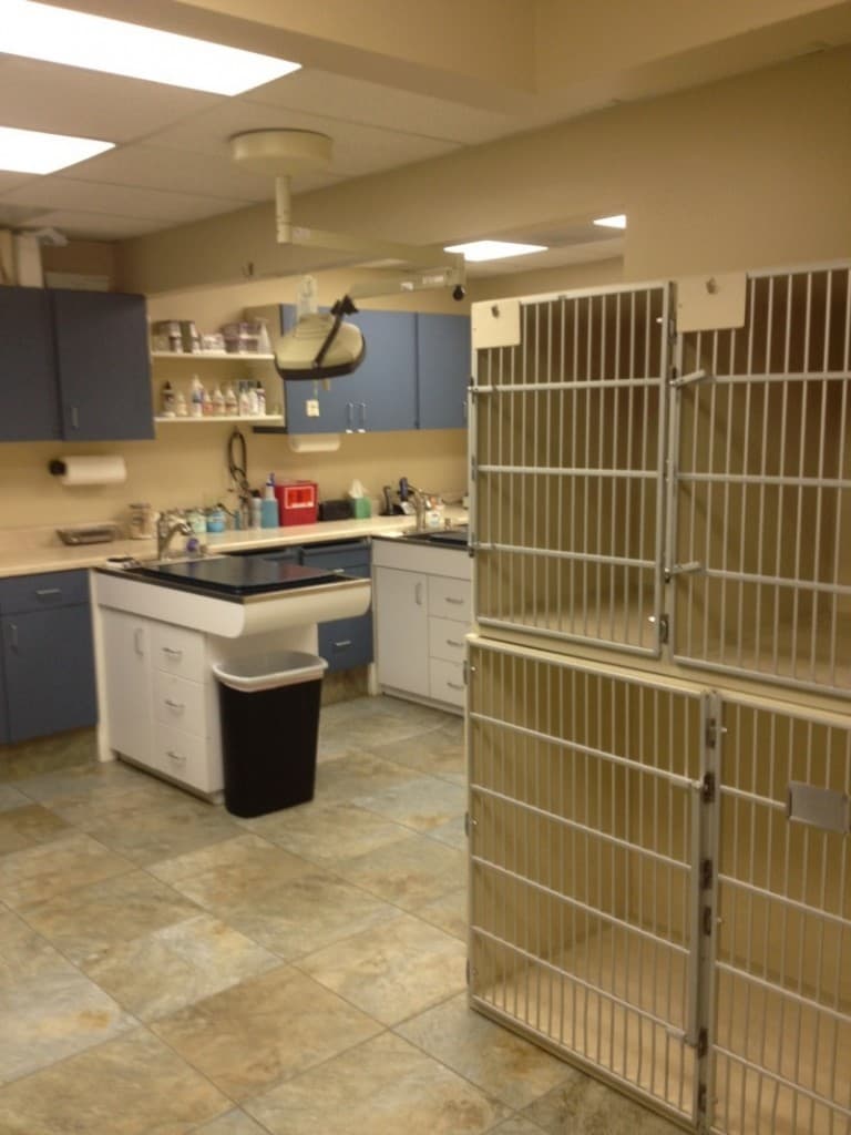 Goldsmith Veterinary Clinic photo 6