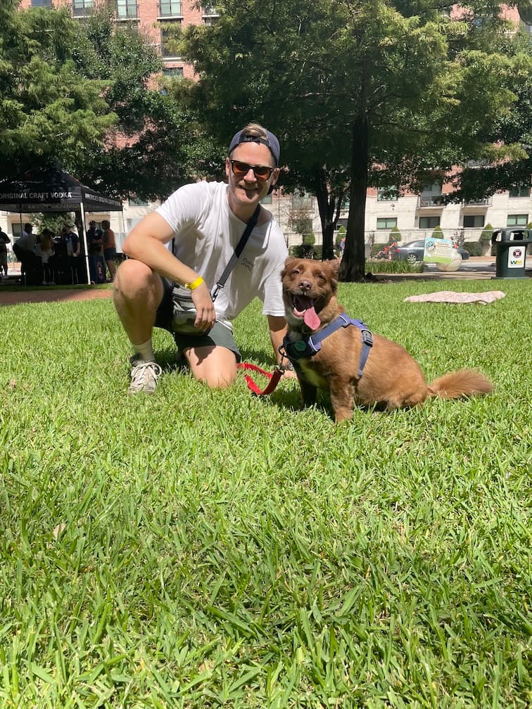 Good Vibes Dog Training