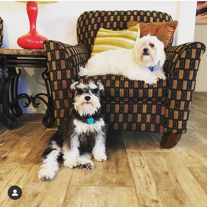 Grand Montecito Animal Hospital