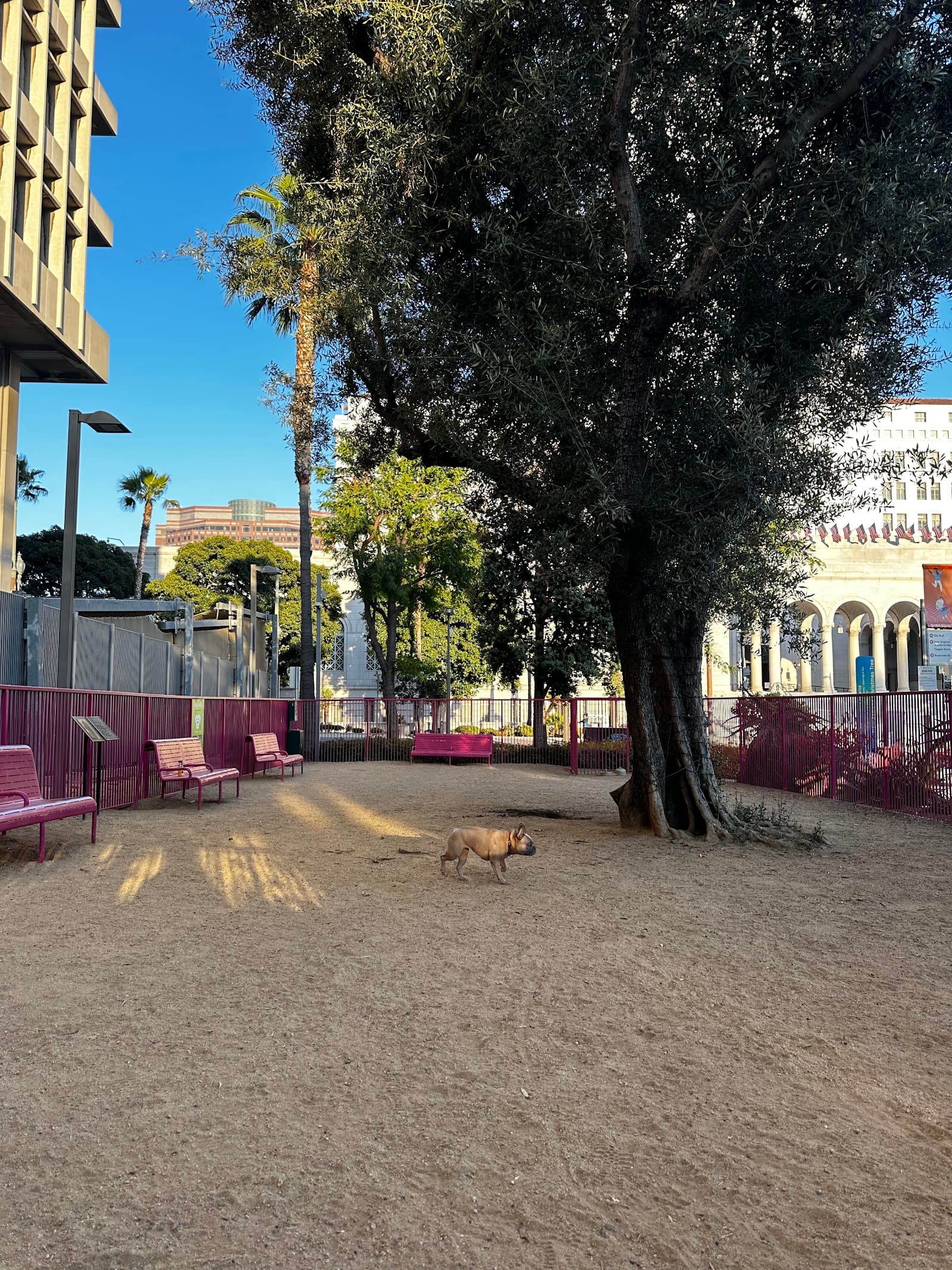 Grand Park- Dog Park