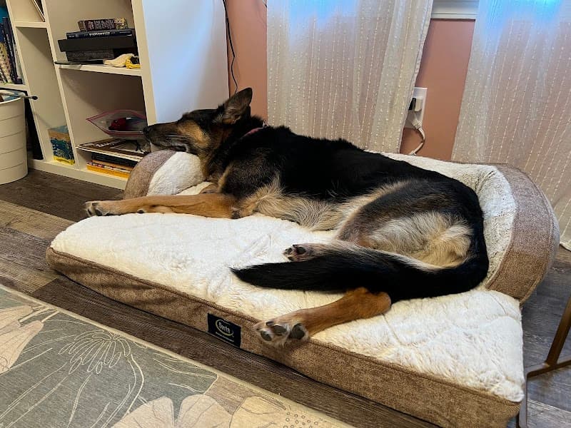 Great Outdogs photo 3