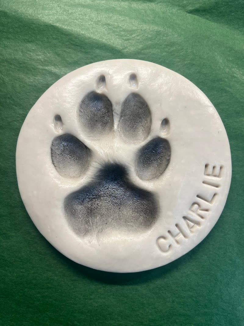 Green Heart Pet Water Cremation photo 4