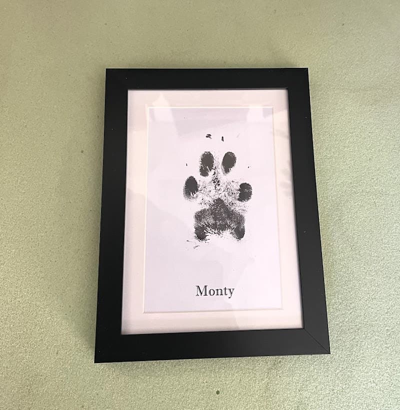 Green Heart Pet Water Cremation photo 6