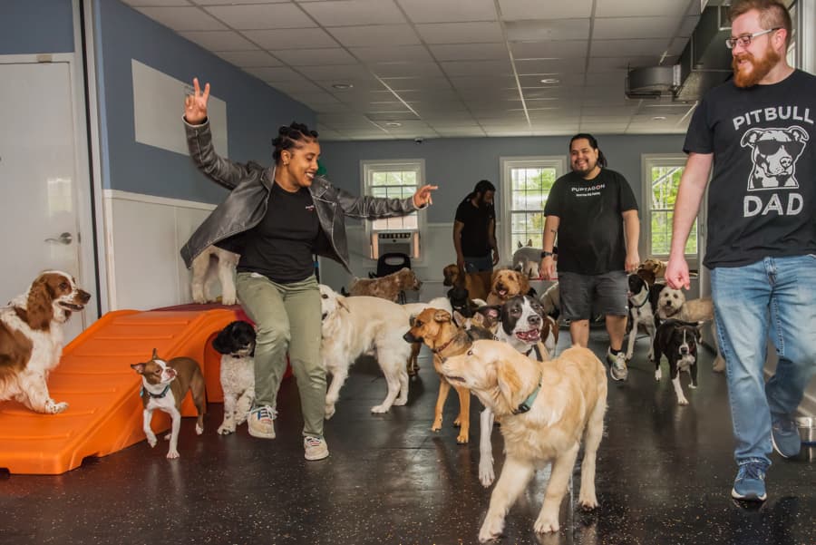 Happy Paws LLC
