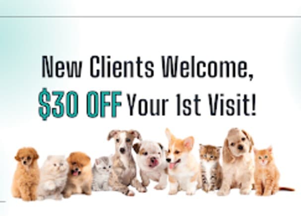 Haw Creek Animal Hospital