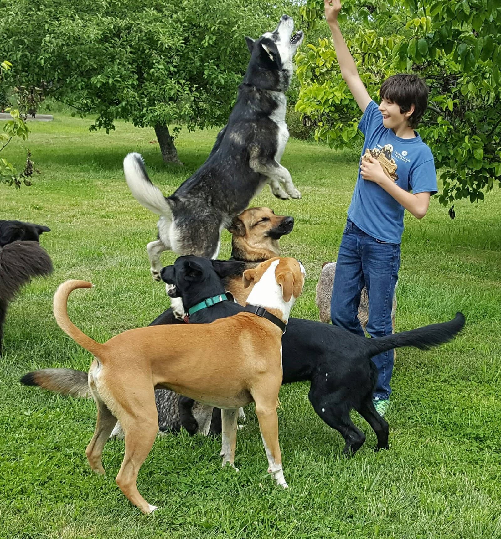 Heaven Sent Rescue, Inc.