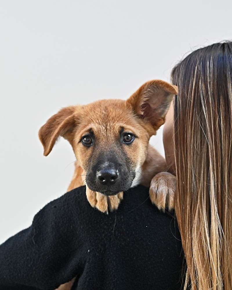 Helen Woodward Animal Center
