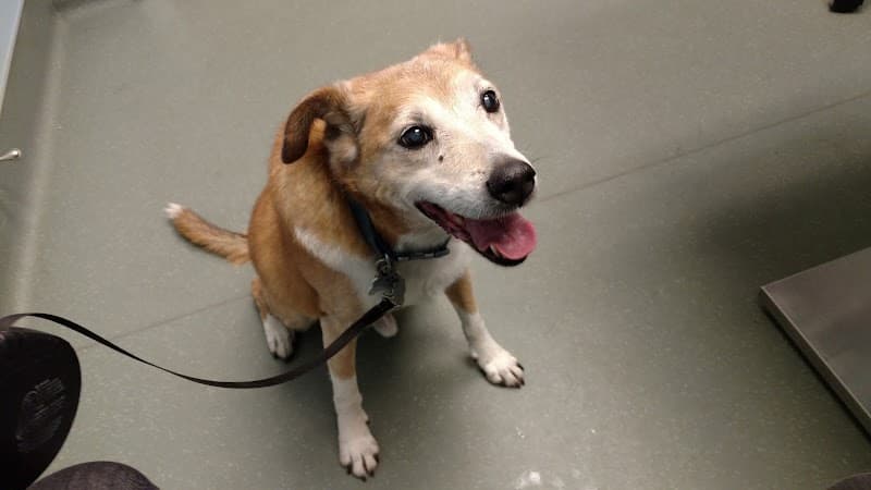 Highlands Animal Clinic photo 5