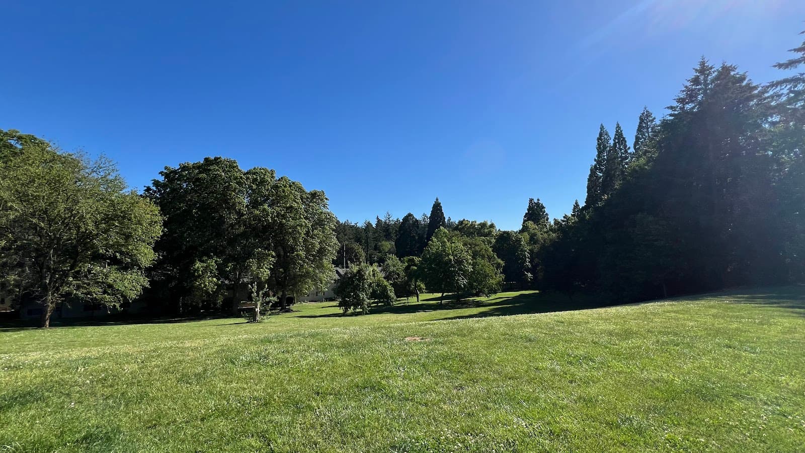 Hillsdale City Park