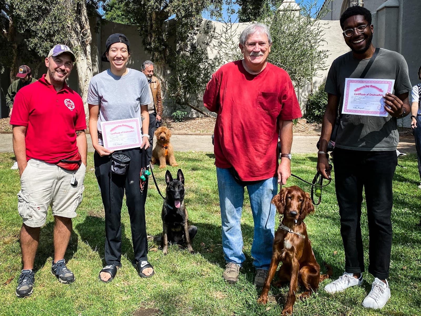 Hollywood Dog Obedience Club