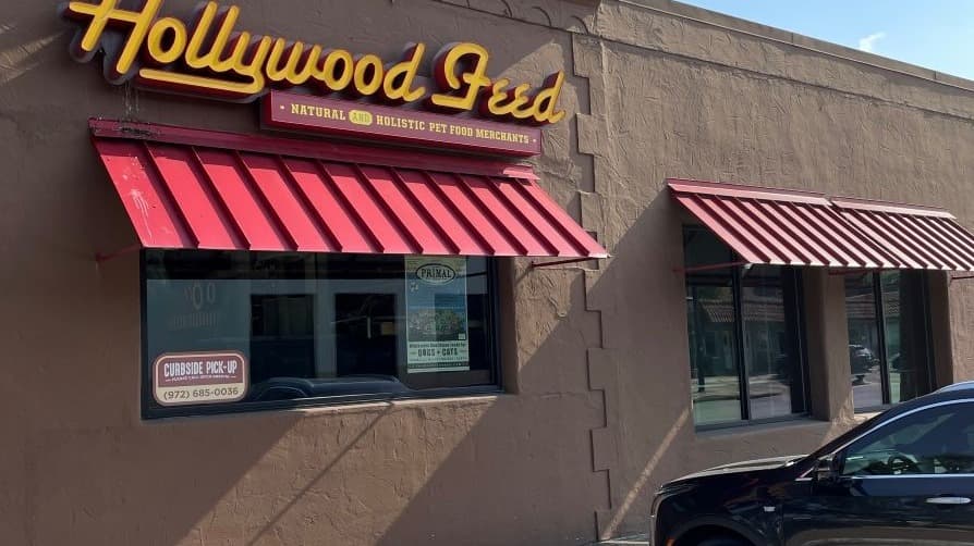 Hollywood Feed