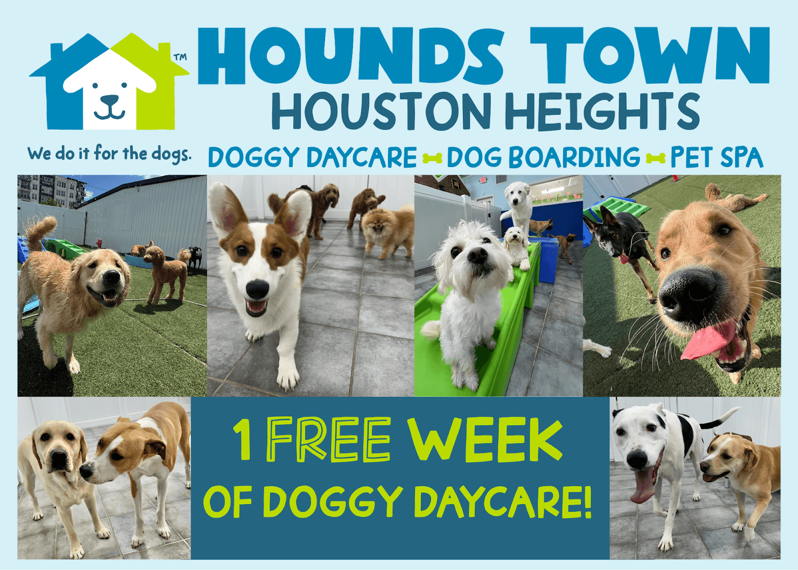 Hounds Town - Houston Heights