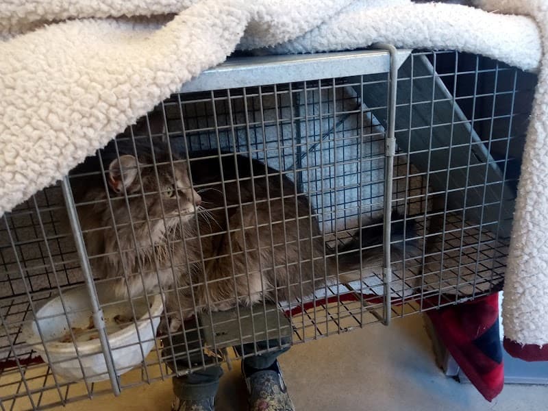 Humane Society Of The South Platte Valley photo 4