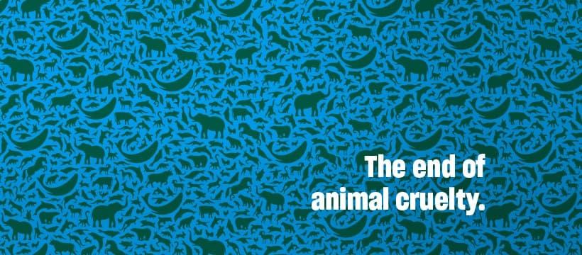 Humane World for Animals