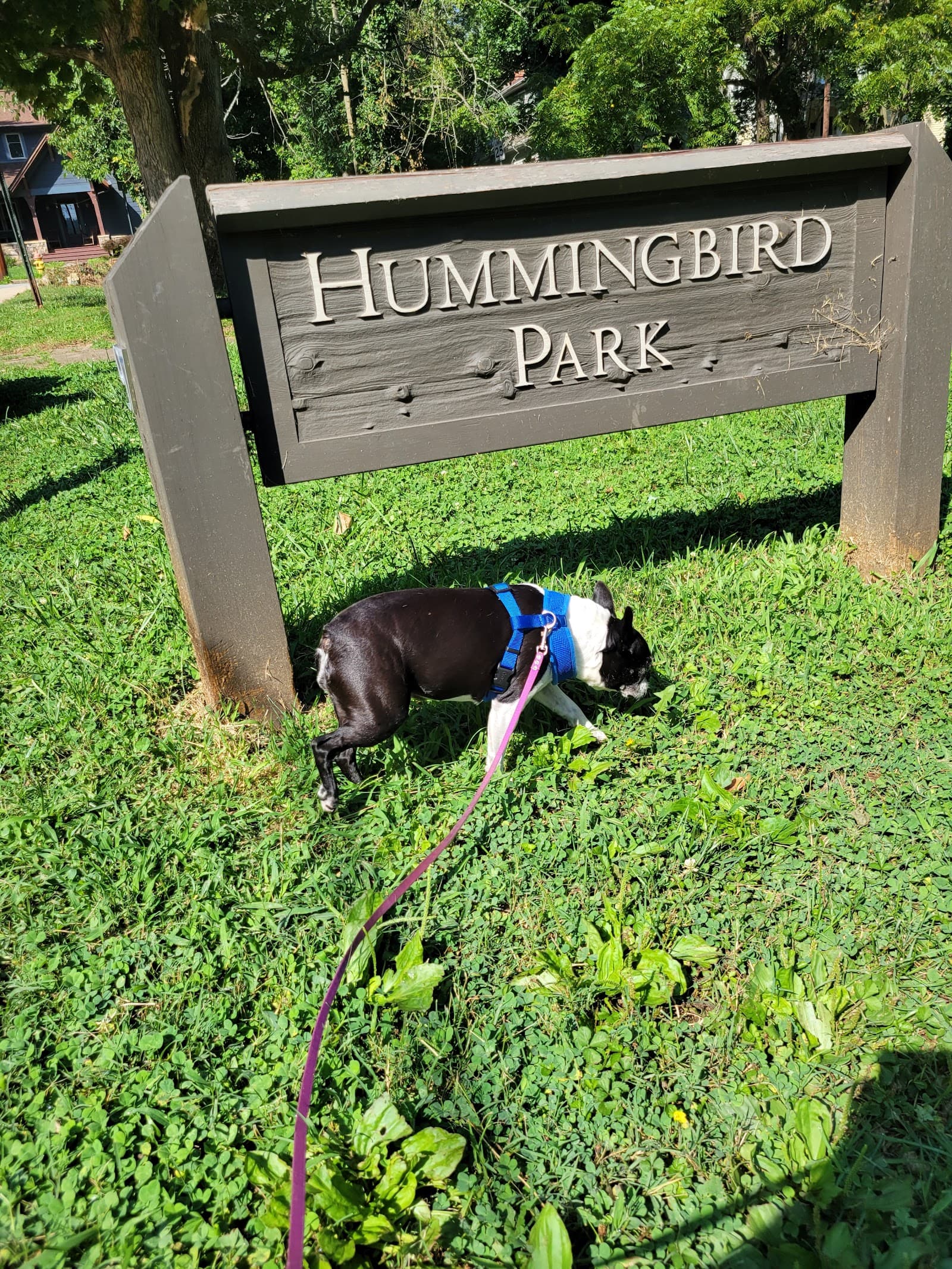 Hummingbird Park
