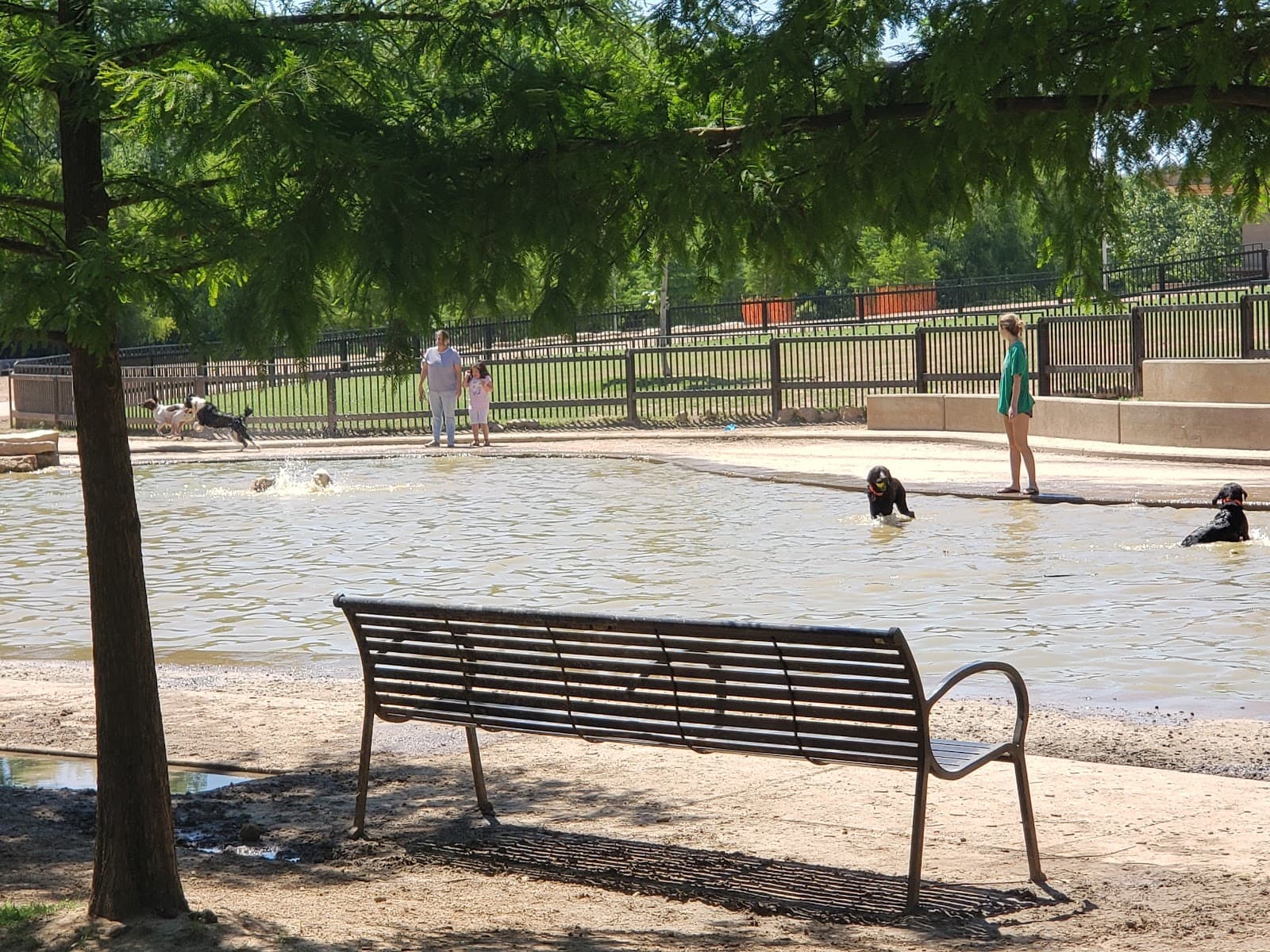 Johnny Steele Dog Park