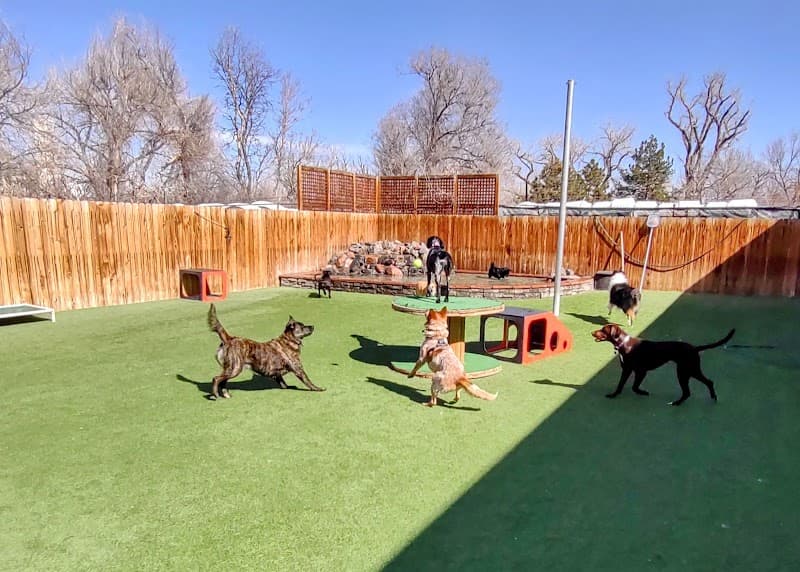 K-9 Castle photo 5