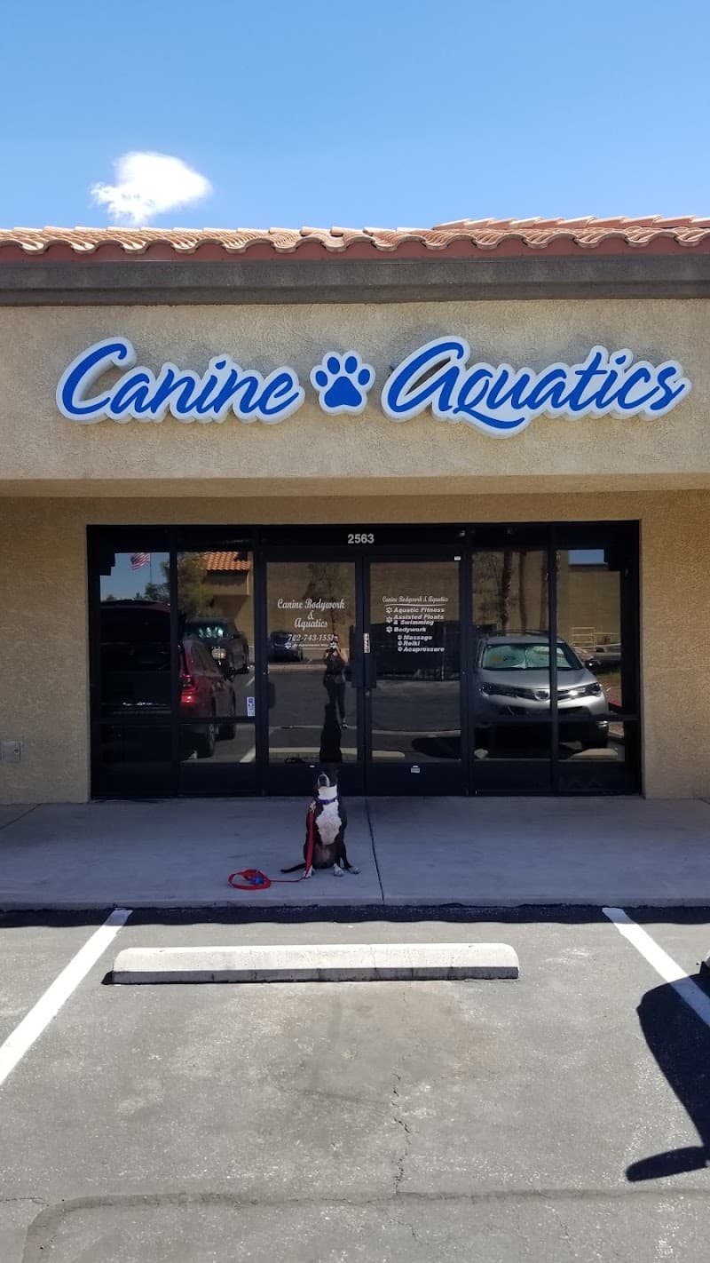 K9 Aquatics