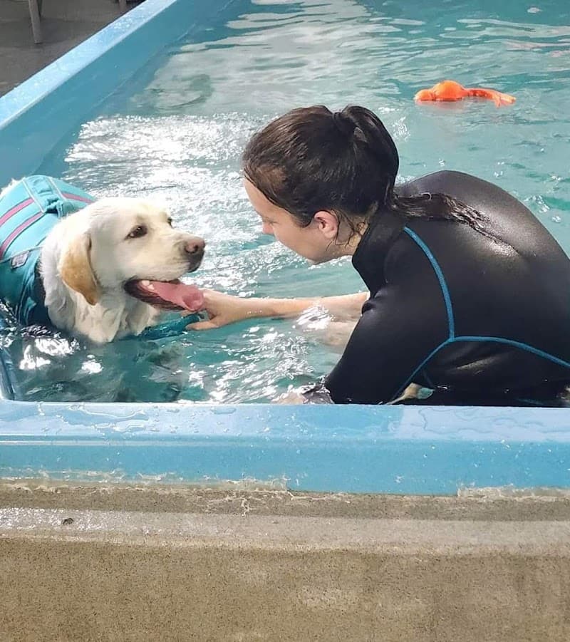 K9 Aquatics photo 2