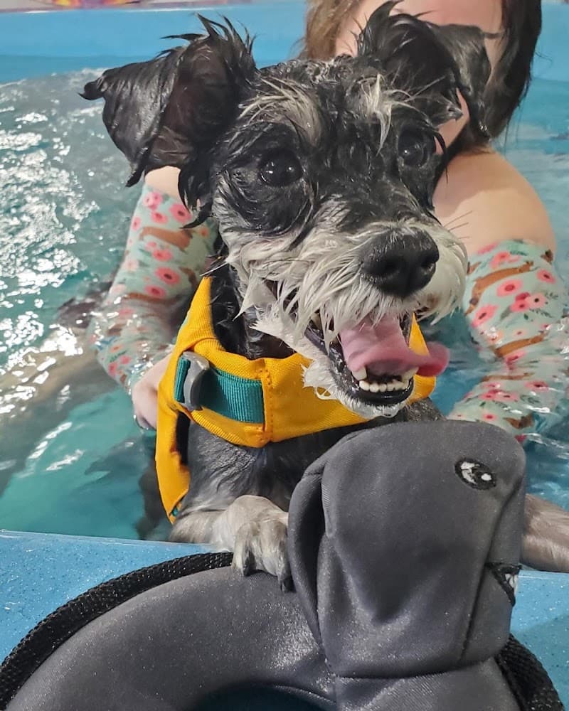 K9 Aquatics photo 3