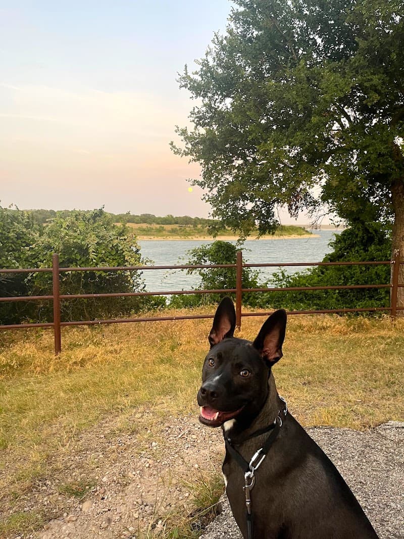K9 Kenny photo 2