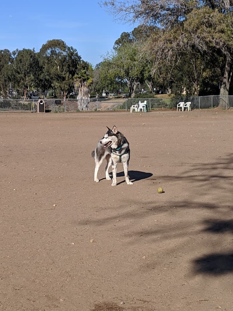 Kearny Mesa Dog Park photo 3