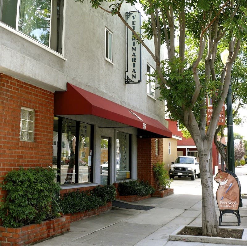 Kensington Veterinary Hospital photo 3