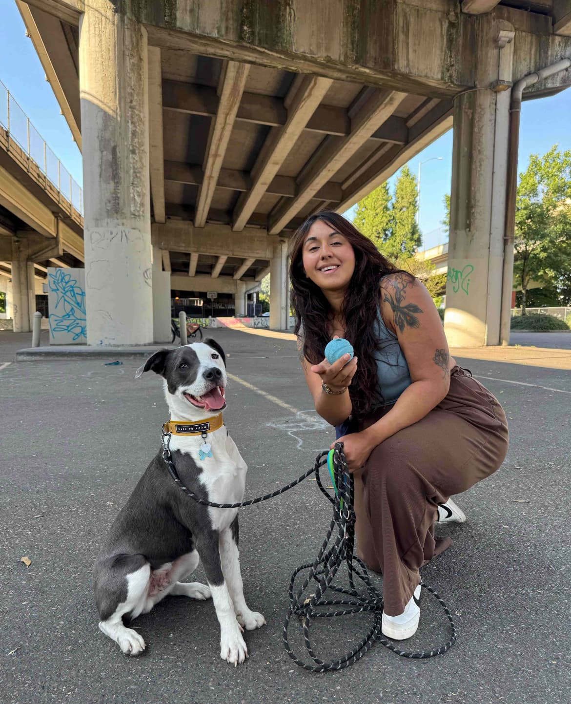 Kindred Dog PDX Dog Training