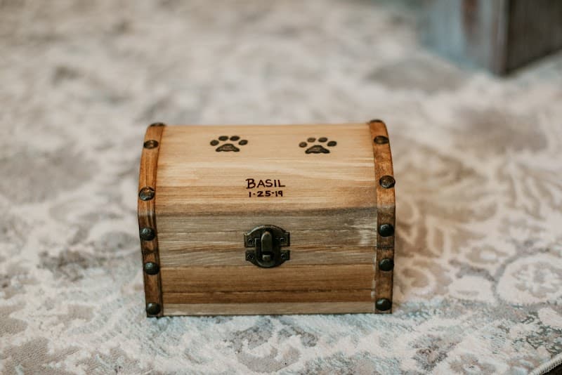 Lasting Paws Pet Memorial Services photo 2