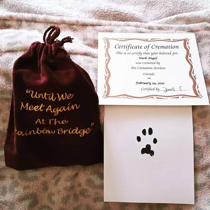 Lasting Paws Pet Memorial Services photo 3