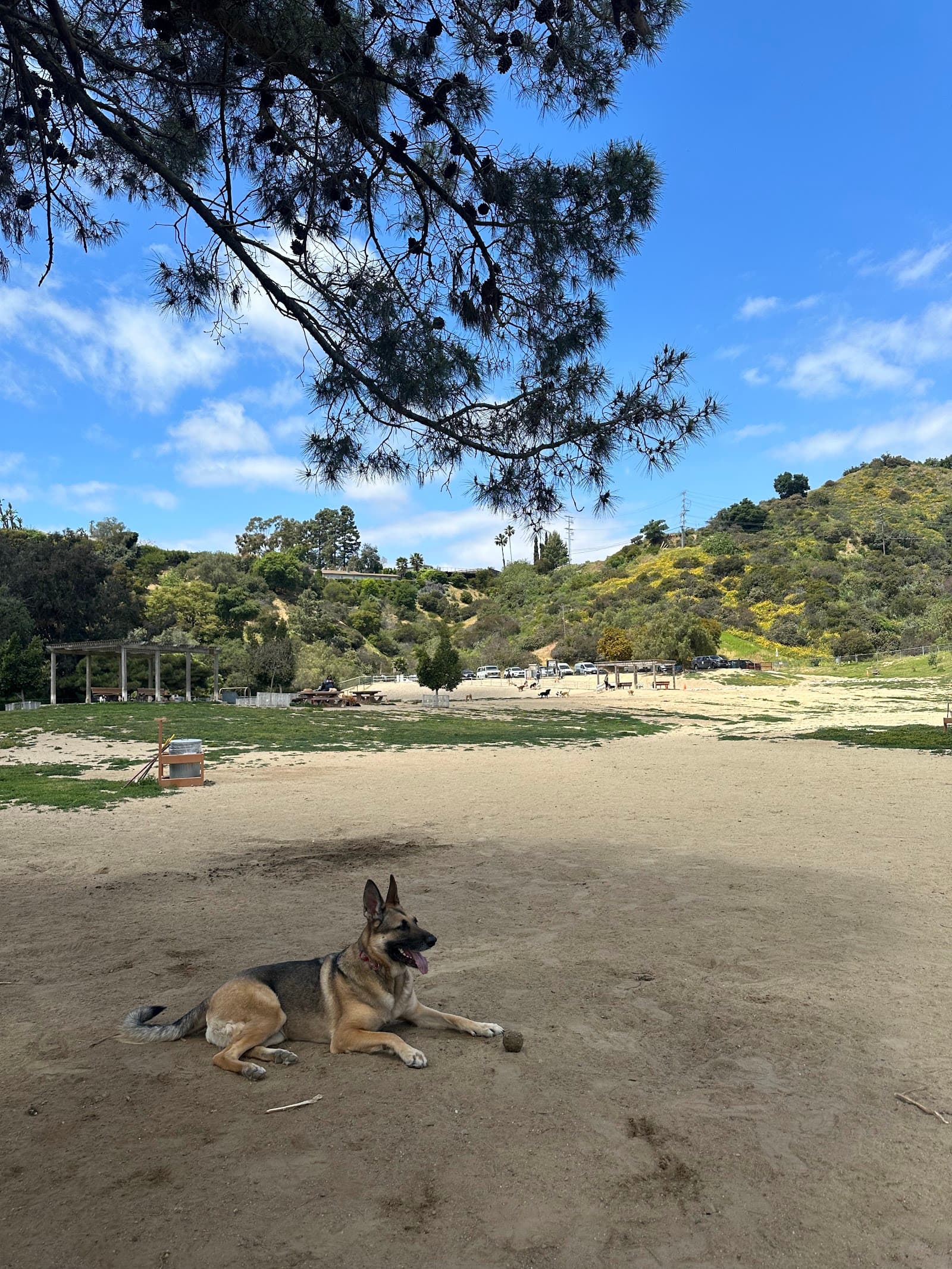 Laurel Canyon Dog Park