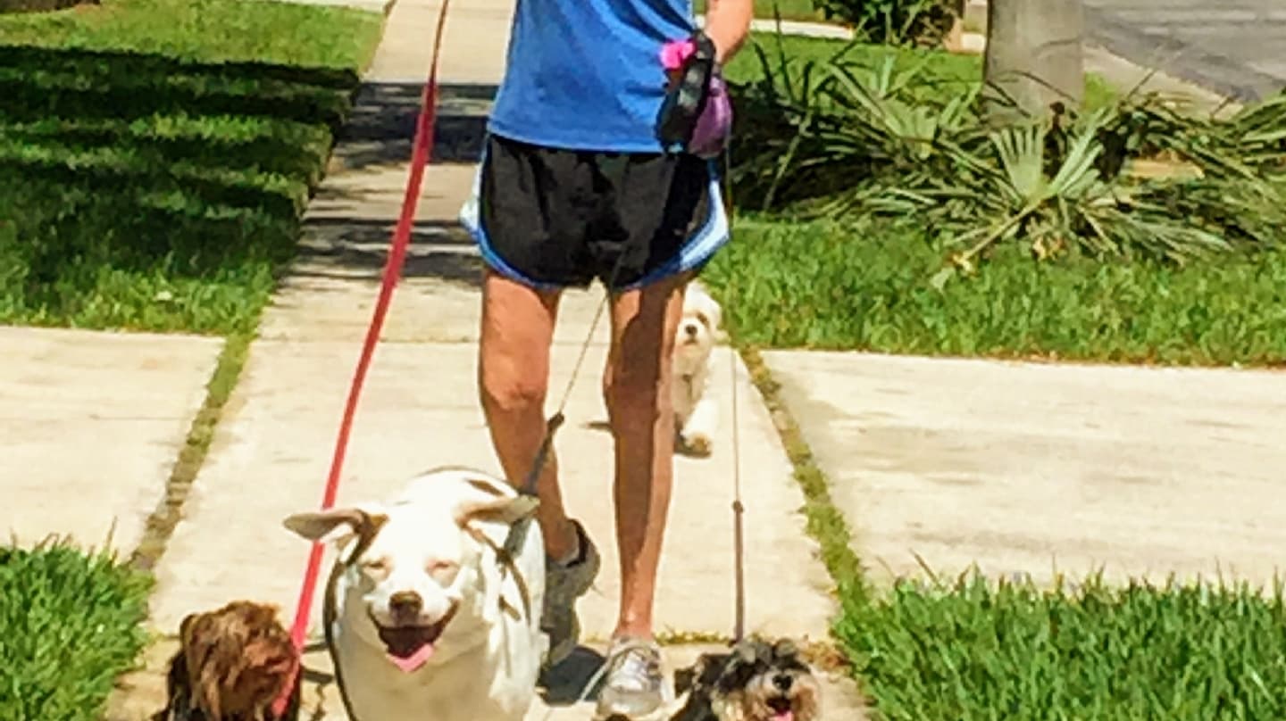 Lauri's Pet Sitting Service