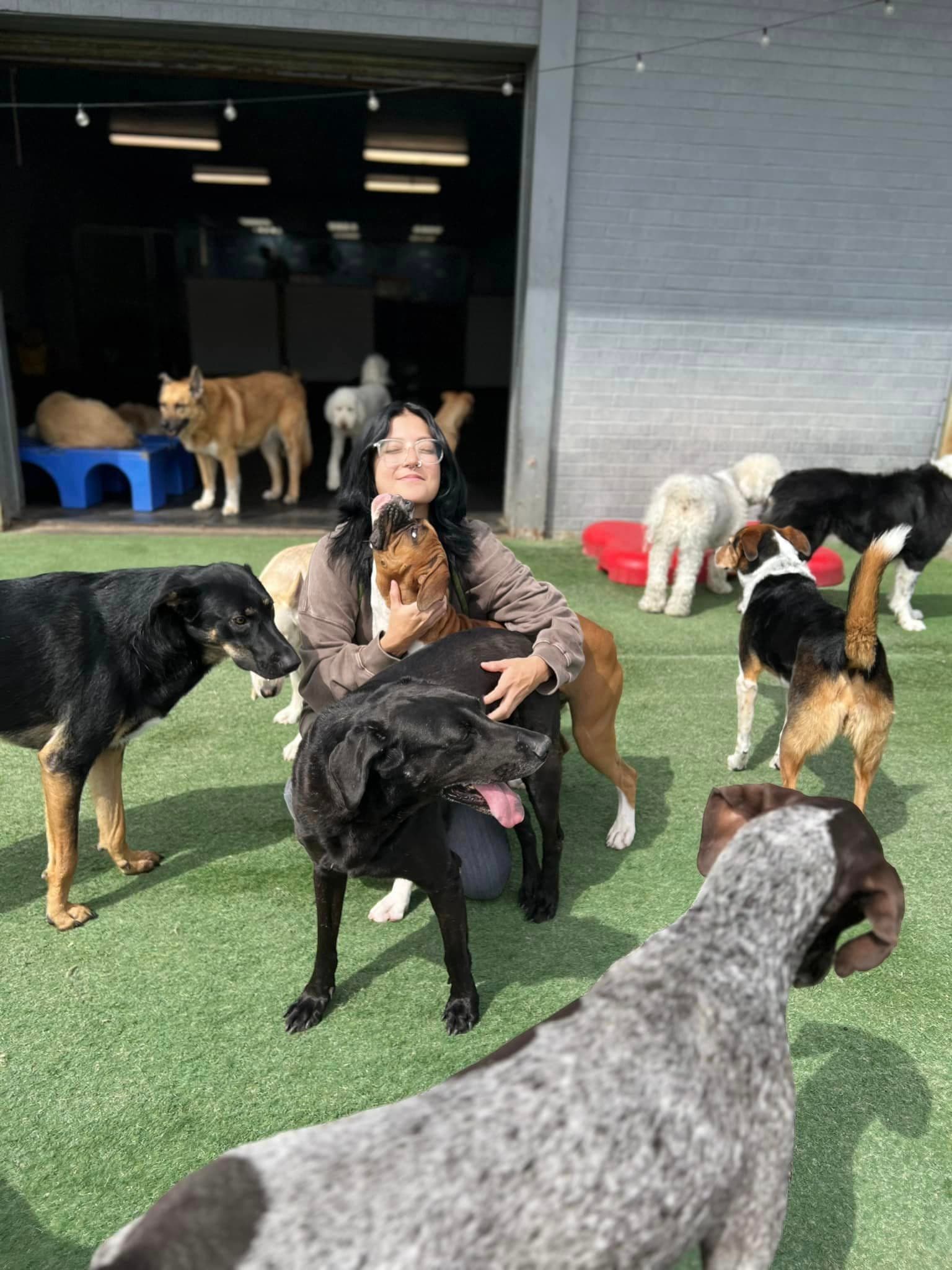 Learning Paws 24/7