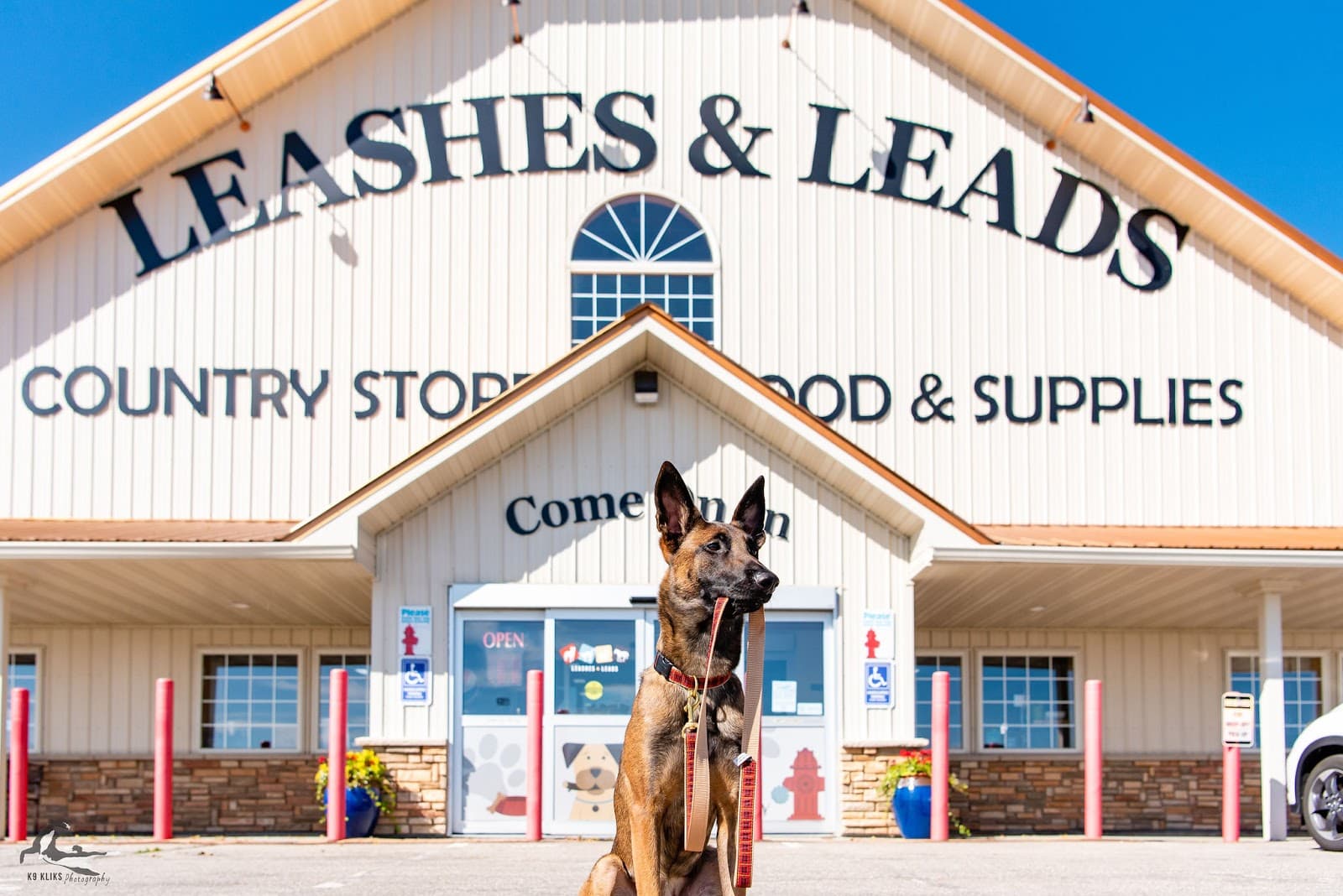 Leashes & Leads