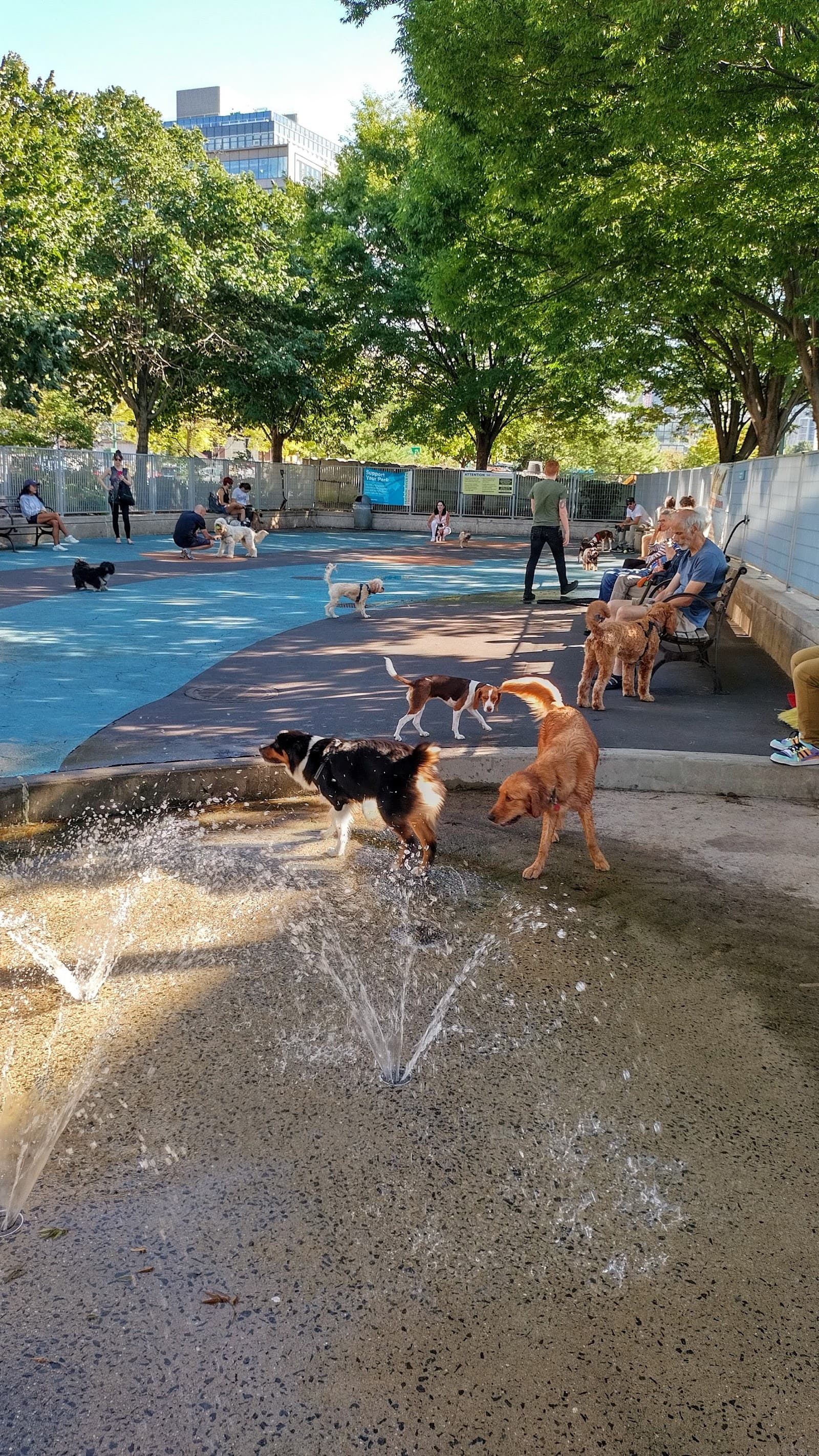 Leroy Street Dog Park