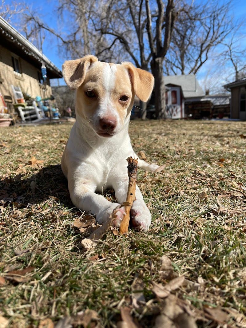 Life Is Better Rescue photo 5