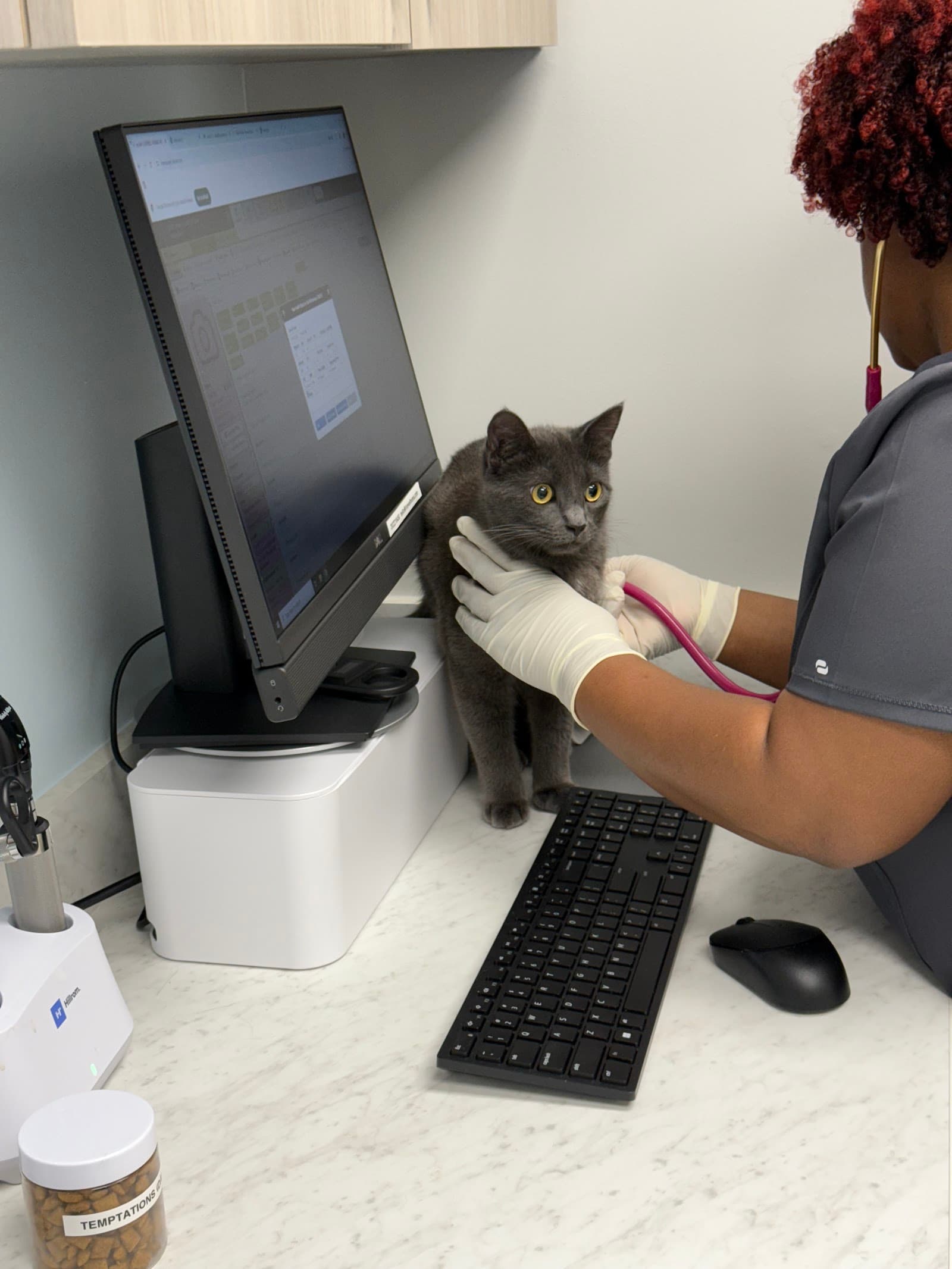 Livewell Animal Hospital of NoMa