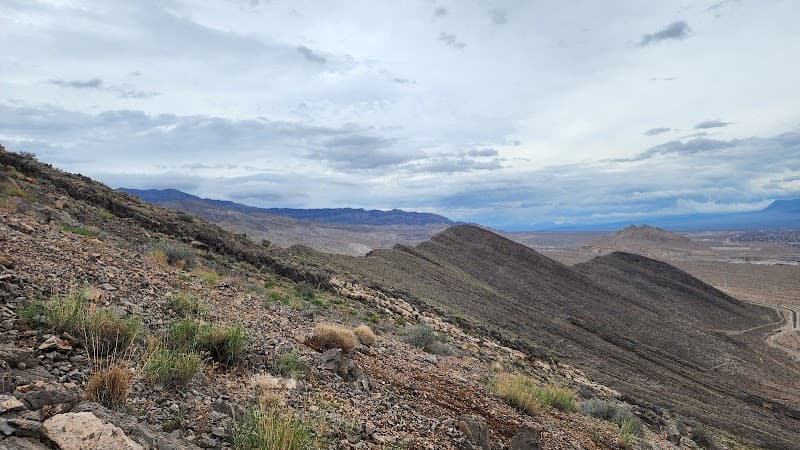 Lone Mountain Park photo 2