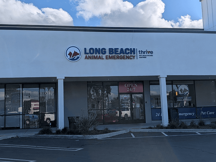 Long Beach Animal Emergency